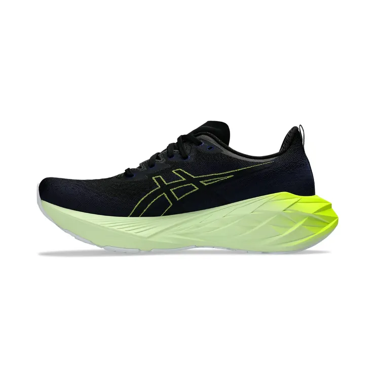 asics-novablast 1011B693-003