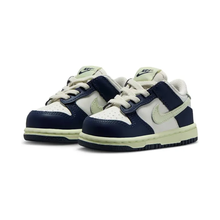 nike-dunk FB9107-127