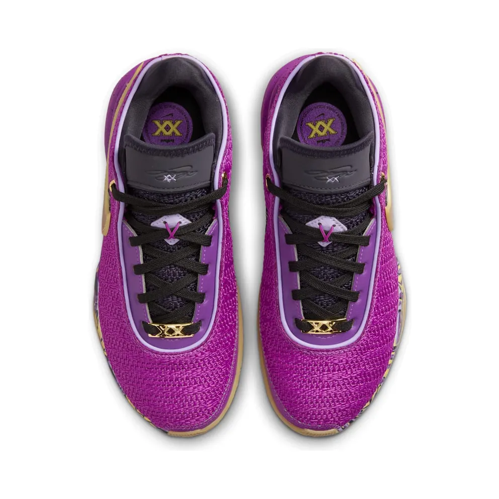 Nike LeBron 20 GS “Young Heirs” (FD0207-500)