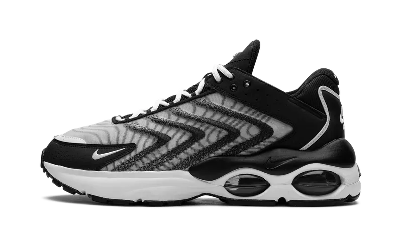 Nike Air Max TW Black (DQ3984-001)