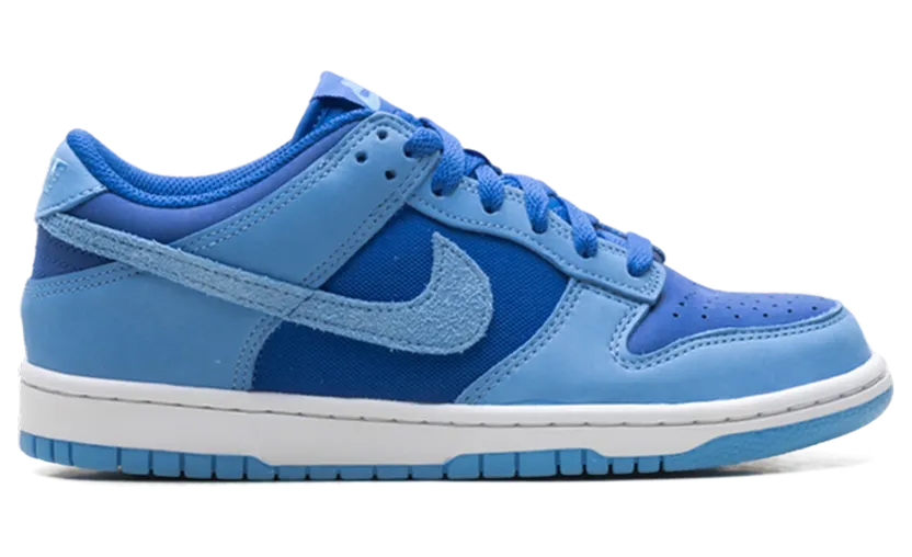 nike-dunk IB5721-400