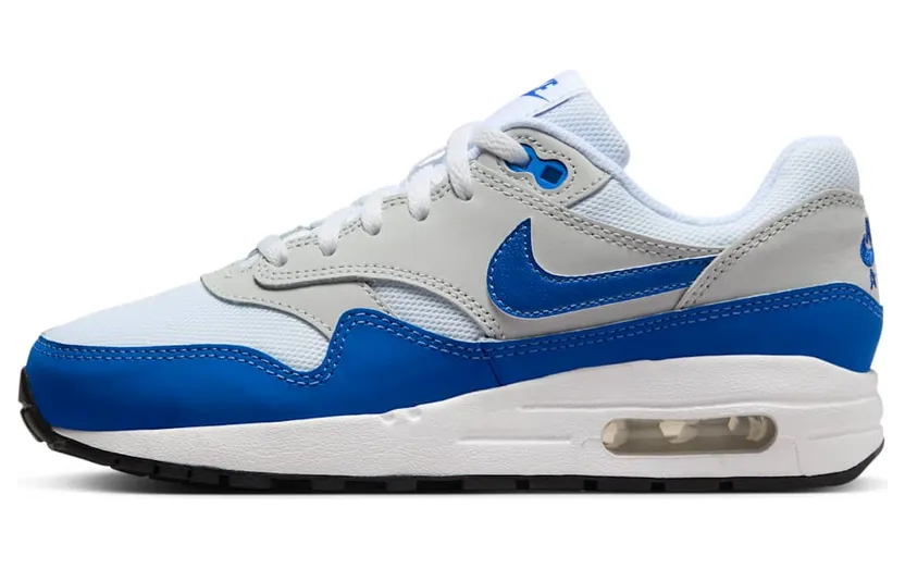 Nike Air Max 1 DZ3307-104