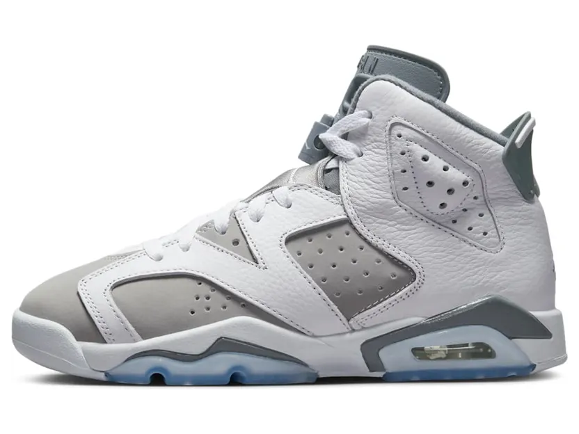 Air Jordan 6 384665-100