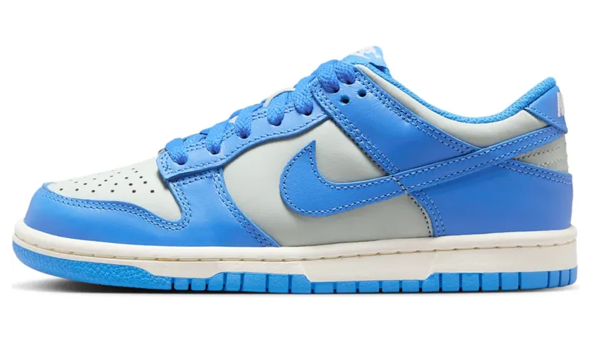 Nike Dunk Low FB9109-004