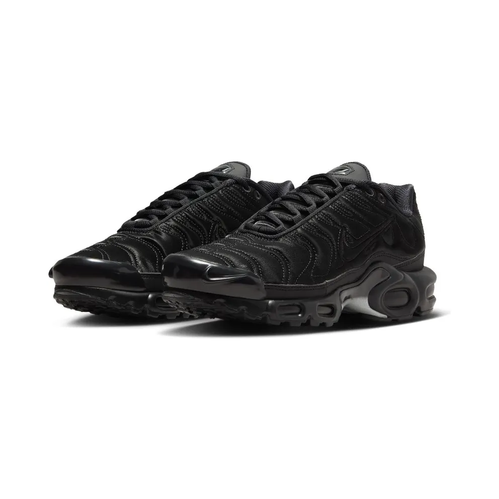 Nike Air Max Plus Black/Anthracite/Sail/Black (FV1169-001)