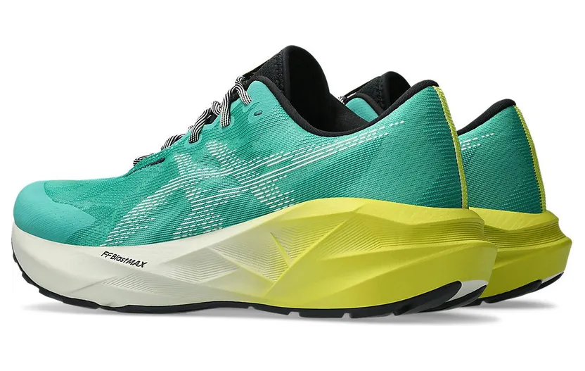 asics-novablast 1011C217-300