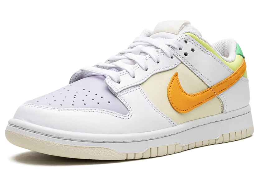 nike-dunk FJ4742-100
