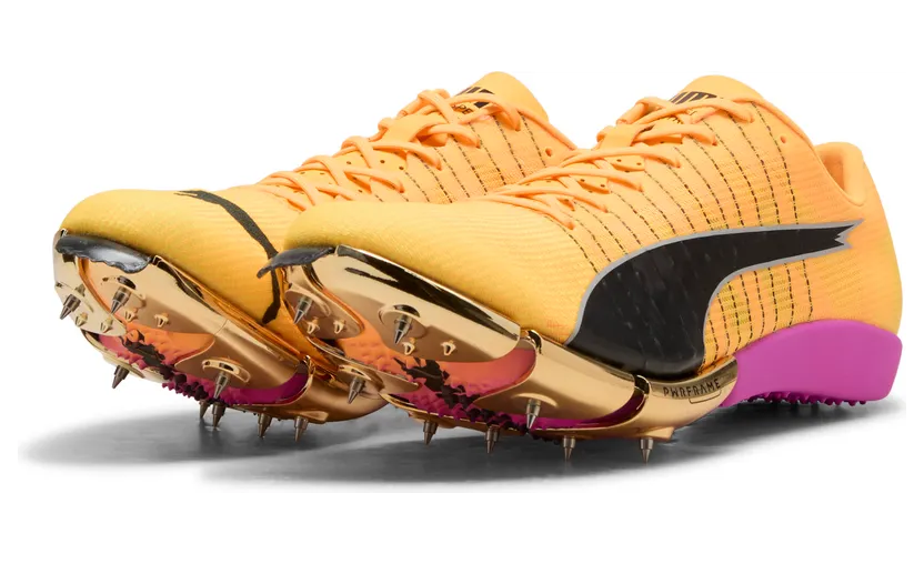 puma-evospeed 311865_02