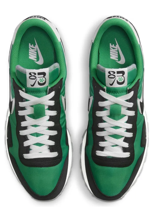 nike-air-pegasus DV0570-300
