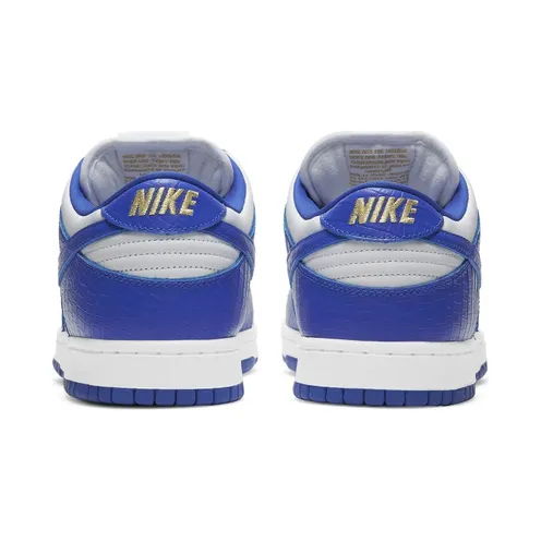 nike-dunk-sb DH3228-100