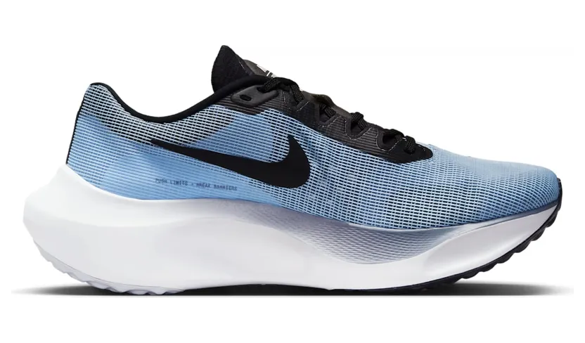 nike-zoom DM8968-401