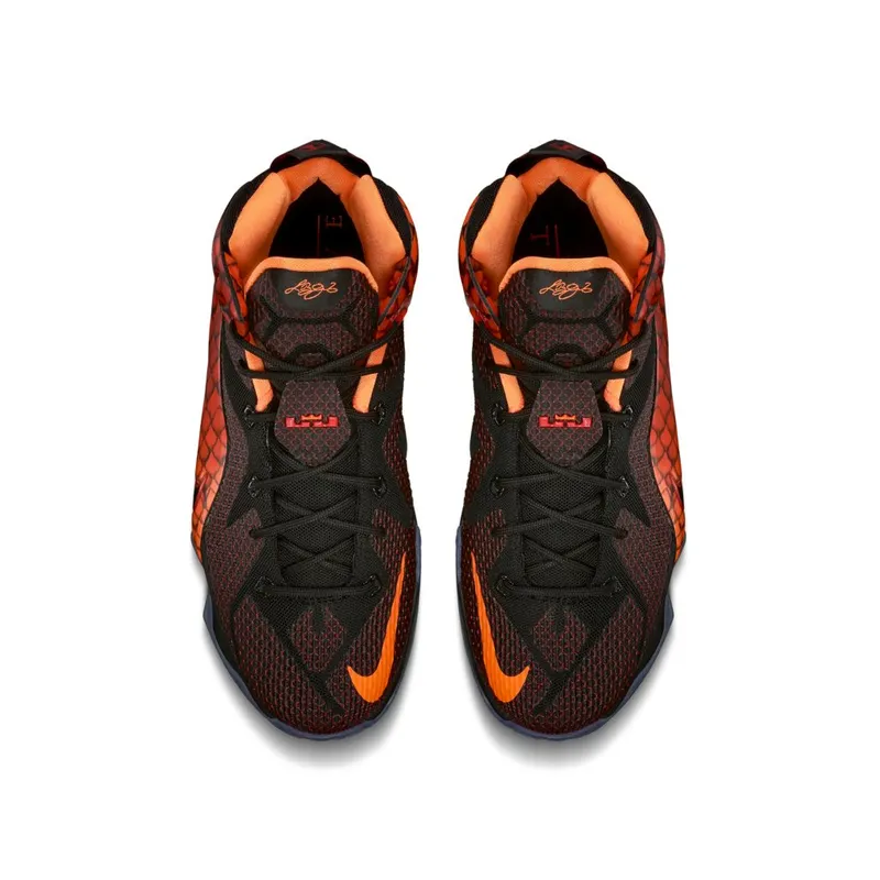 Nike LeBron 12 Reptile (GS) (685181-010)
