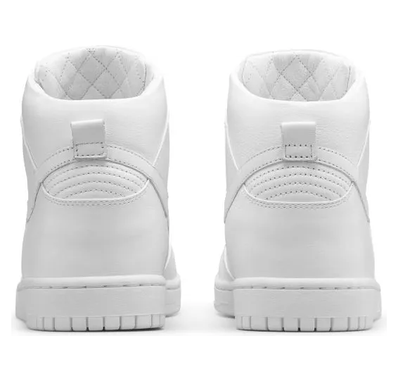 nike-dunk 718790-101