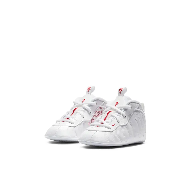 Nike Air Foamposite One Takeout Bag (I)
