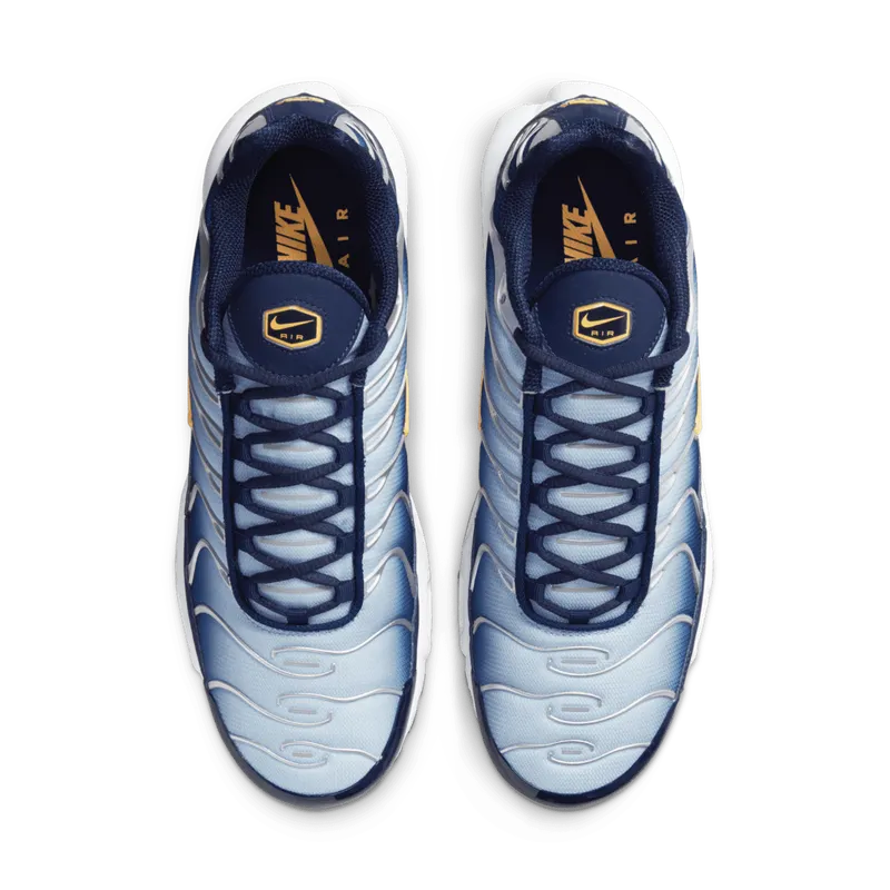Nike Air Max Plus Blue (DM3530-400)