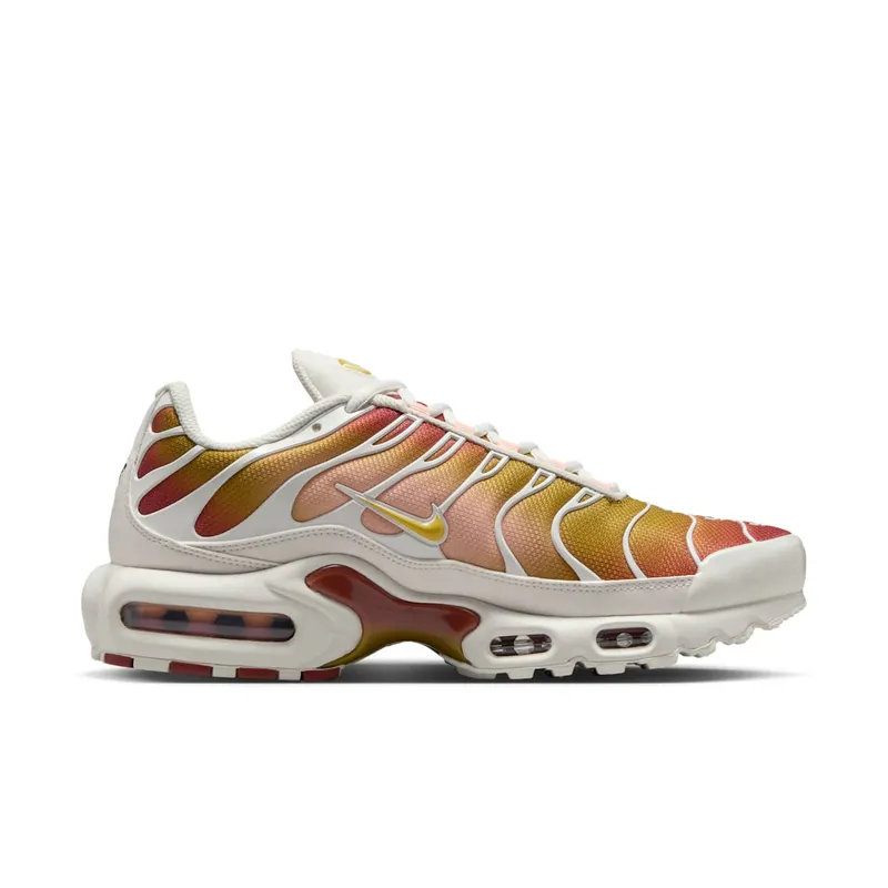 Nike Air Max Plus Grey (DZ3670-007)
