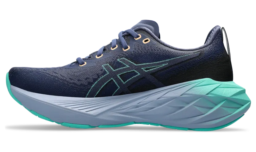 asics-novablast 1012B510.401