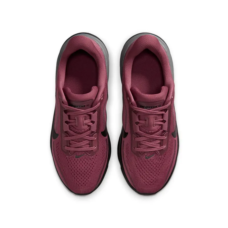 Nike Pegasus Pink Smoke/Gunsmoke/Black (IH2306-600)