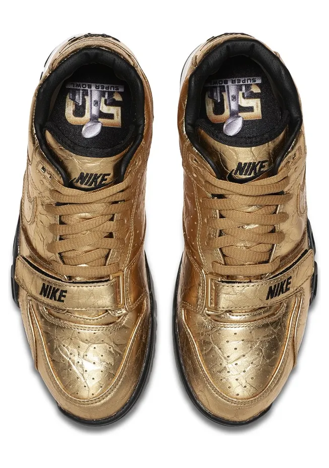 air-jordan-trainer-1 840169-700