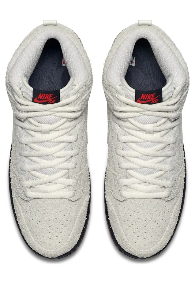 nike-dunk-sb 881758-110