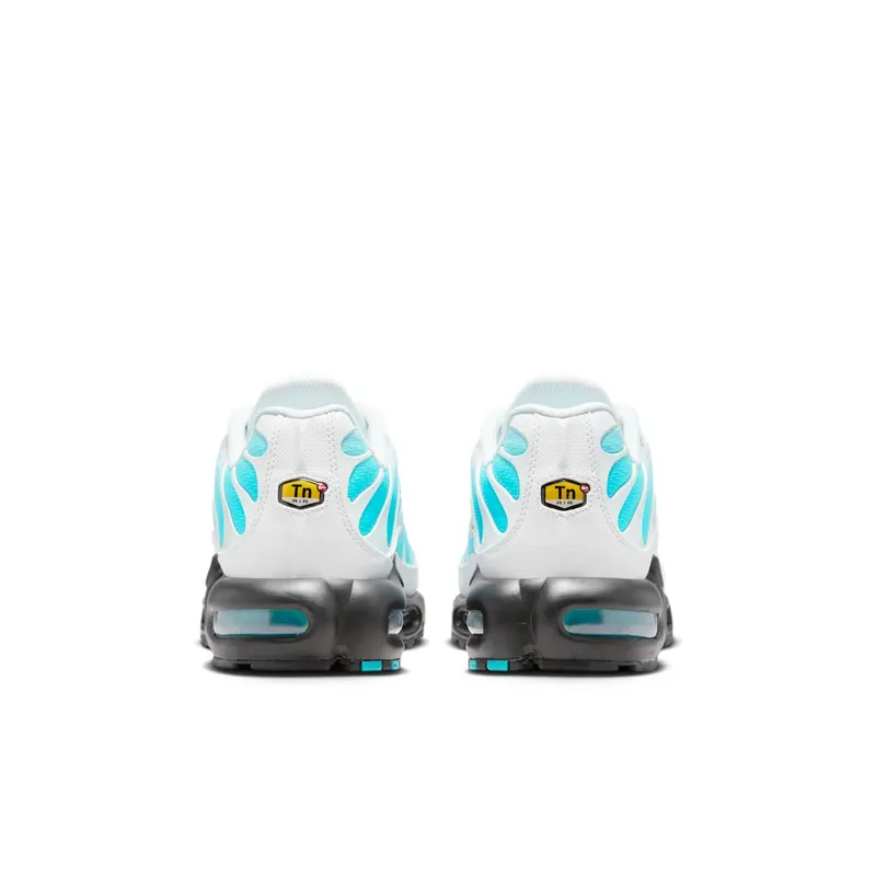 Nike Air Max Plus Dusty Cactus/Black/White (IU7539-345)