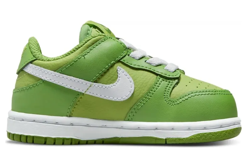 nike-dunk DH9761-301