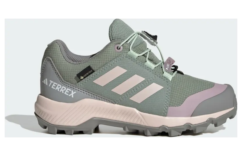 Adidas Terrex GORE-TEX Hiking Silver Green / Linen Green / Preloved Fig (JI1359)