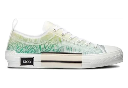 Dior And Shawn B23 Low Top