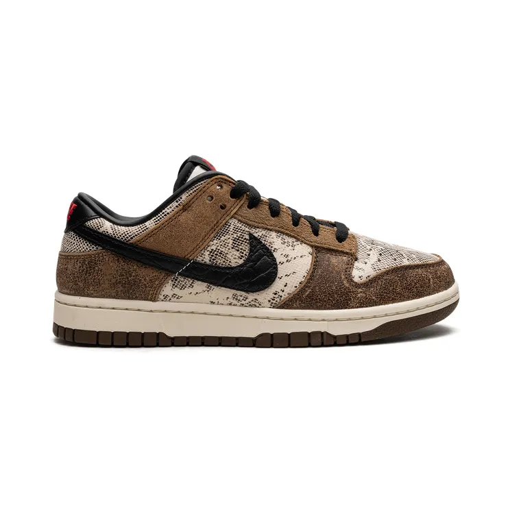nike-dunk FJ5434-120