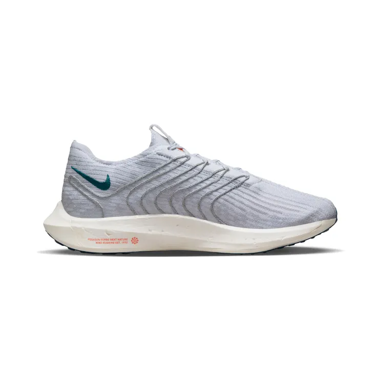 nike-air-pegasus DM3413-004