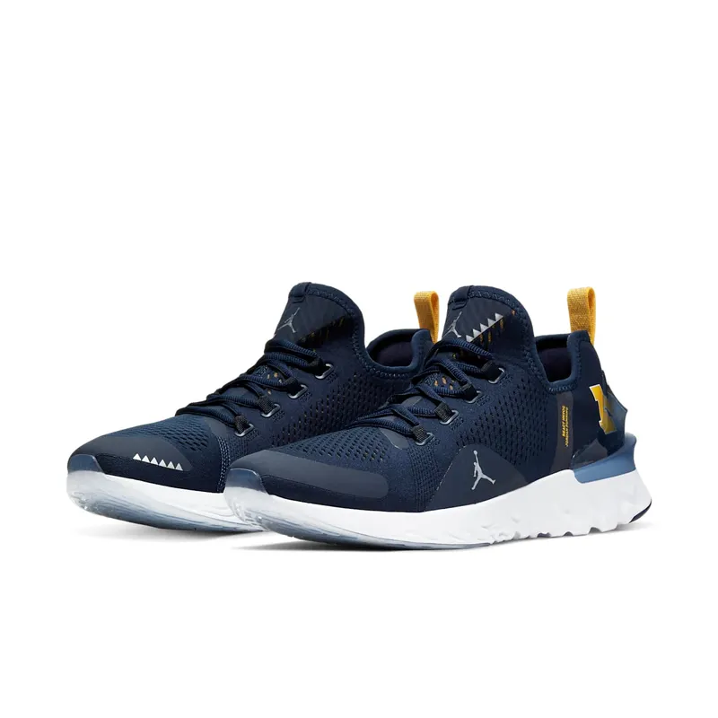 Jordan React Havoc Michigan College Navy/Metallic Silver-White-Amarillo (CJ6748-407)