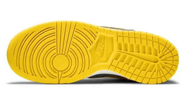 nike-dunk 728443-100