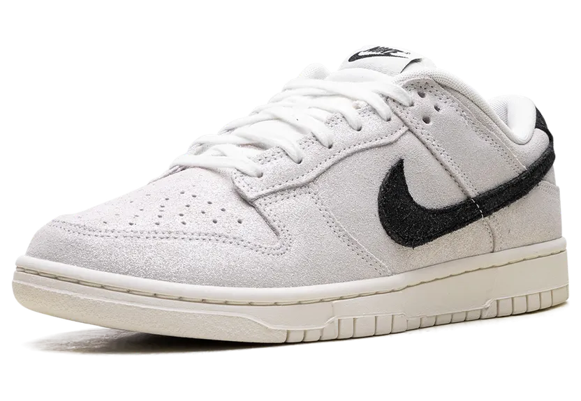 nike-dunk HQ3502-100
