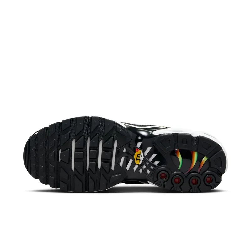 Nike Air Max Plus Rainbow (DZ3670-001)
