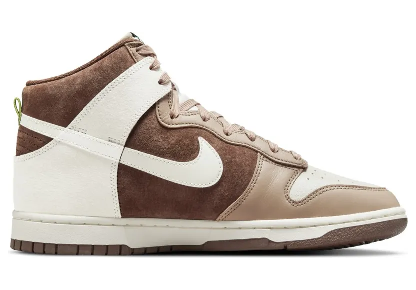 nike-dunk DH5348-100