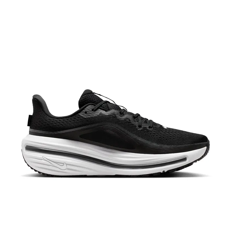 Nike Winflo 12 Black (HV9272-002)