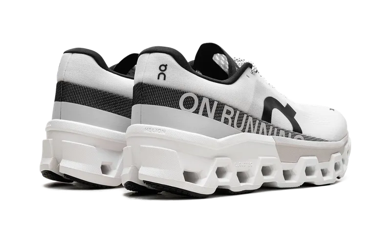 On Running Cloudmonster 2 White Frost (3ME10120664)