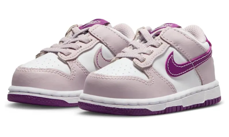 nike-dunk FB9107-104