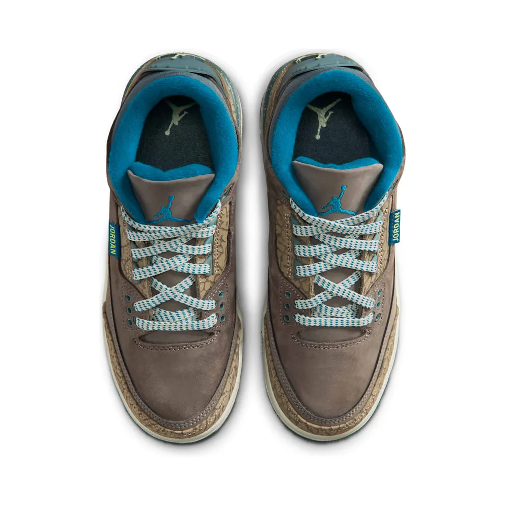 Air Jordan 3 GS “We Outside” (IB7066-001)