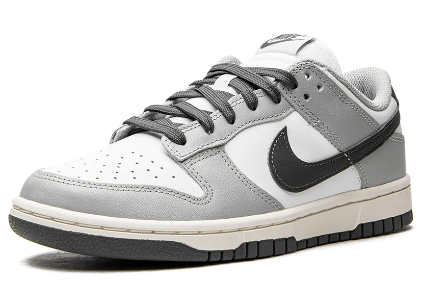 nike-dunk DD1503-117