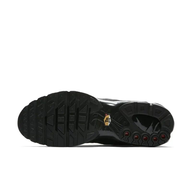 Nike Air Max Plus Triple Black Leather Black/Black-Black (AJ2029-001)