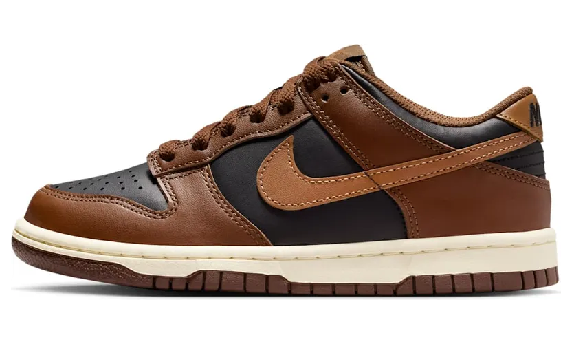 Nike Dunk Low Brown Black (FB9109-006)