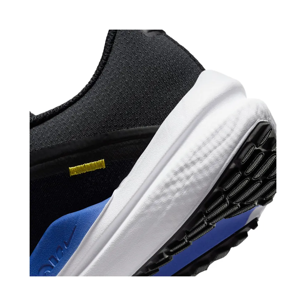 Nike Winflo 10 Black (DV4022-005)
