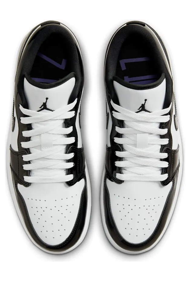 air-jordan-1 DV1309-100