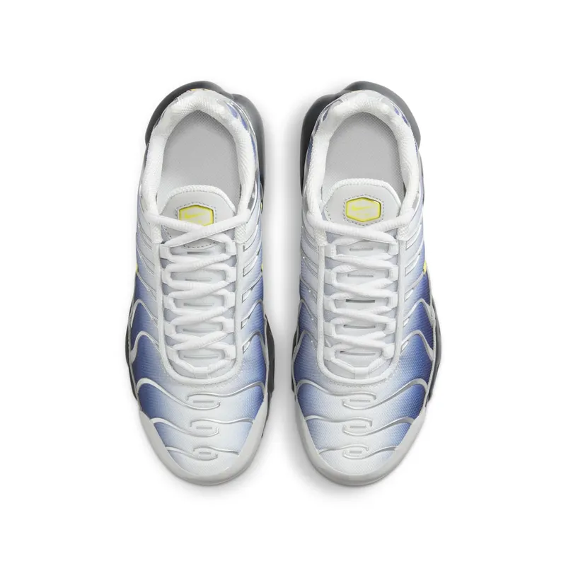 Nike Air Max Plus Obsidian Silver (HF0030-001)