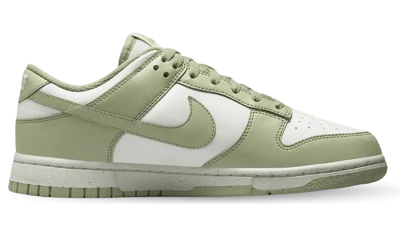 nike-dunk HF5384-300