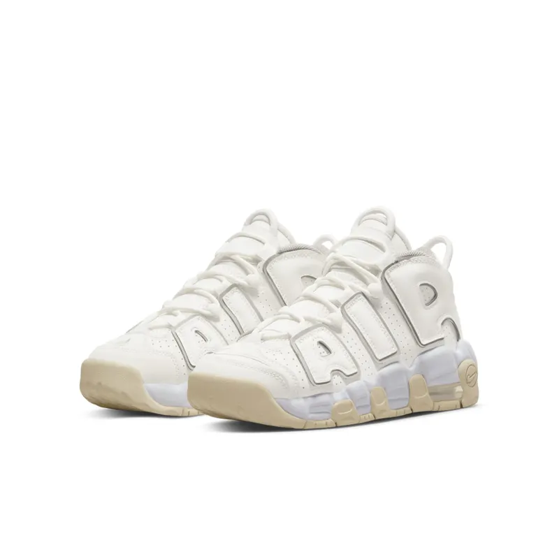 Nike Air More Uptempoen Grey (DM1023-001)