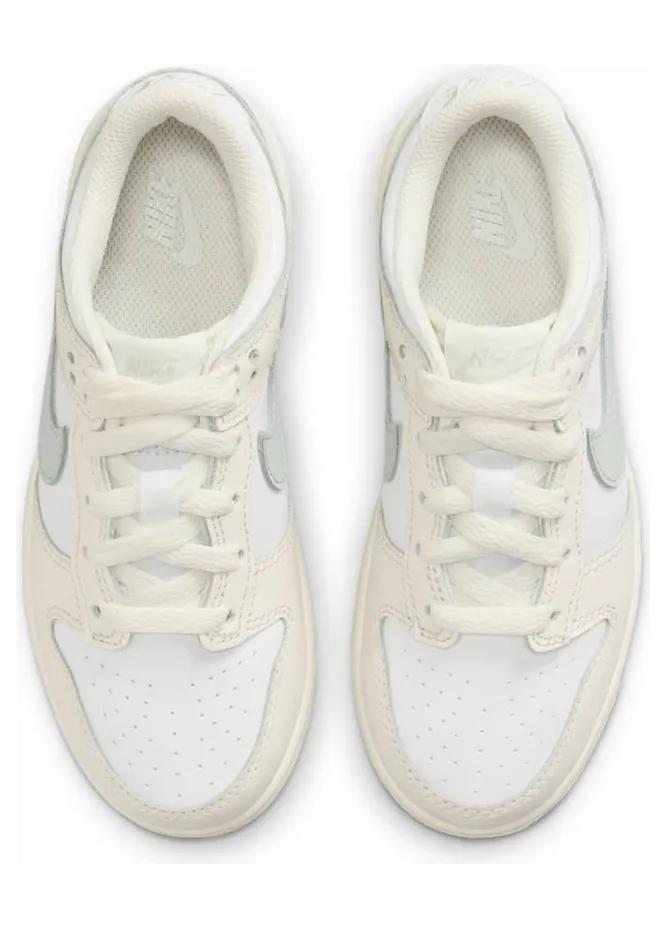 nike-dunk FB9108-109
