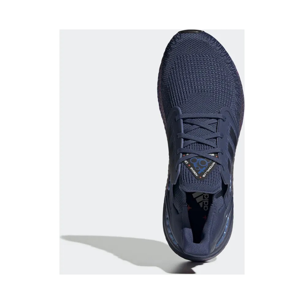adidas Ultra Boost 2020 ISS US National Lab Tech Indigo Tech Indigo/Legend Ink/Blue Violet Metallic (FV8450)