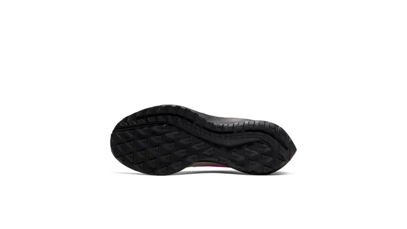 Nike Air Zoom Pegasus 36 Trail Light Orewood Brown Light Orewood Brown/Black/Villain Red (CU4842-100)